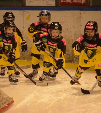 TURNIEJE HOKEJOWE W SOSNOWCU