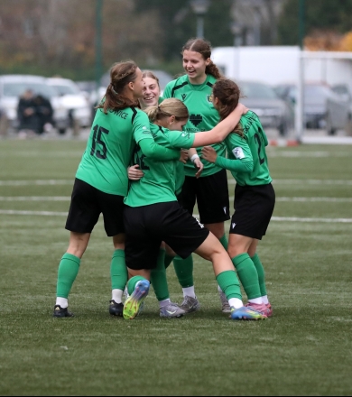 HARMONOGRAM MECZÓW LIGOWYCH (15.11-21.11.2025)