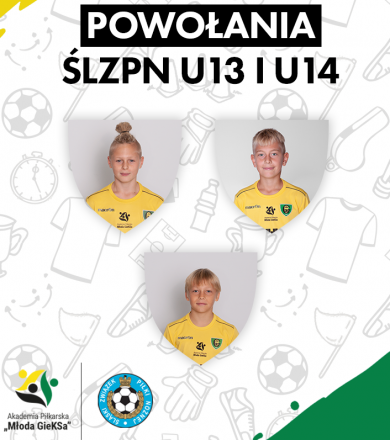 KOLEJNE POWOŁANIA DLA ZAWODNIKÓW GIEKSY