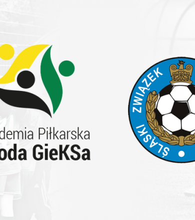 POWOŁANIA DO REPREZENTACJI ŚLĄSKA