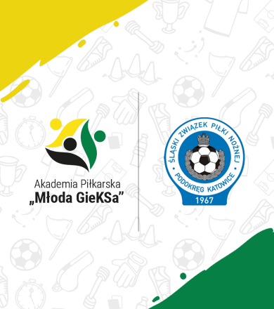 POWOŁANIA DO KADRY PODOKRĘGU KATOWICE