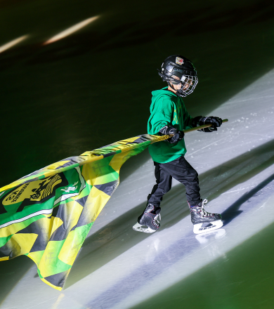 NABORY DO SEKCJI HOKEJA