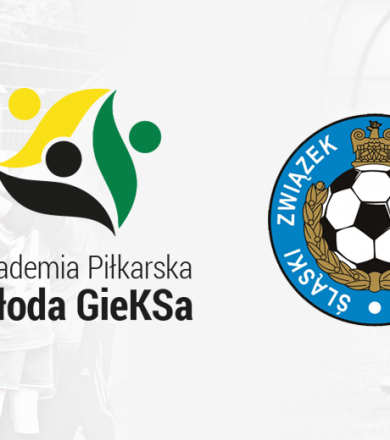 POWOŁANIA NA KONSULTACJĘ KADRY ŚLĄSKA