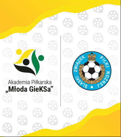 POWOŁANIA DO KADRY ŚLĄSKIEGO ZWIĄZKU PIŁKI NOŻNEJ U13 I U14