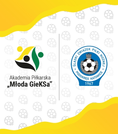 POWOŁANIA PODOKRĘGU KATOWICE DLA ROCZNIKA 2010