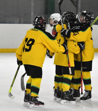 PROGRAM TRENINGOWY DLA HOKEISTÓW