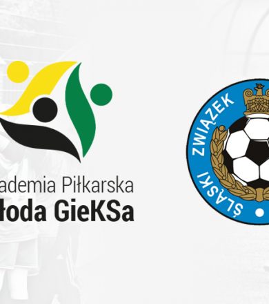 POWOŁANIA NA KONSULTACJĘ KADRY ŚLĄSKA