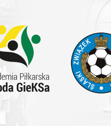 POWOŁANIA DO KADR ŚLĄSKIEGO ZPN ORAZ PODOKRĘGU KATOWICE