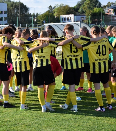 HARMONOGRAM MECZÓW LIGOWYCH (22.03-27.03.2025)