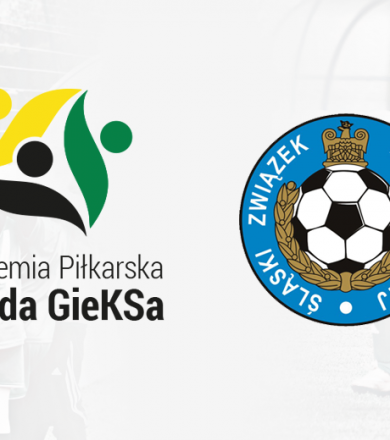 POWOŁANIA DO KADR ŚLĄSKIEGO ZWIĄZKU PIŁKI NOŻNEJ