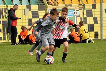 Fot. Wojciech Banasiuk