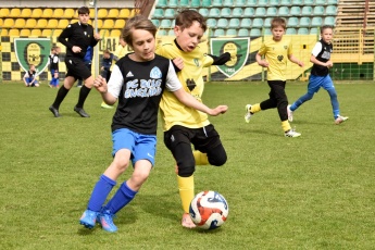 Fot. Wojciech Banasiuk